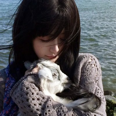 白莲花